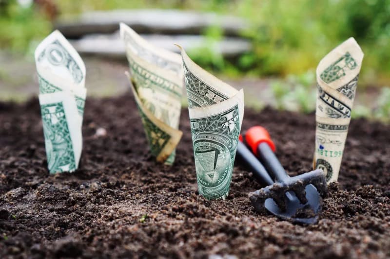 Must Do Money Saving Tips