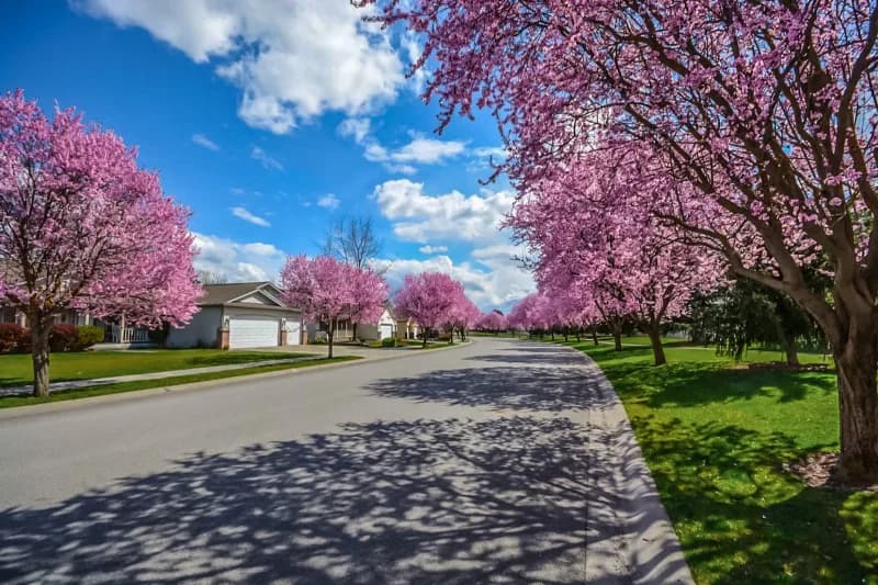How to Find the Best Location for Your New Home