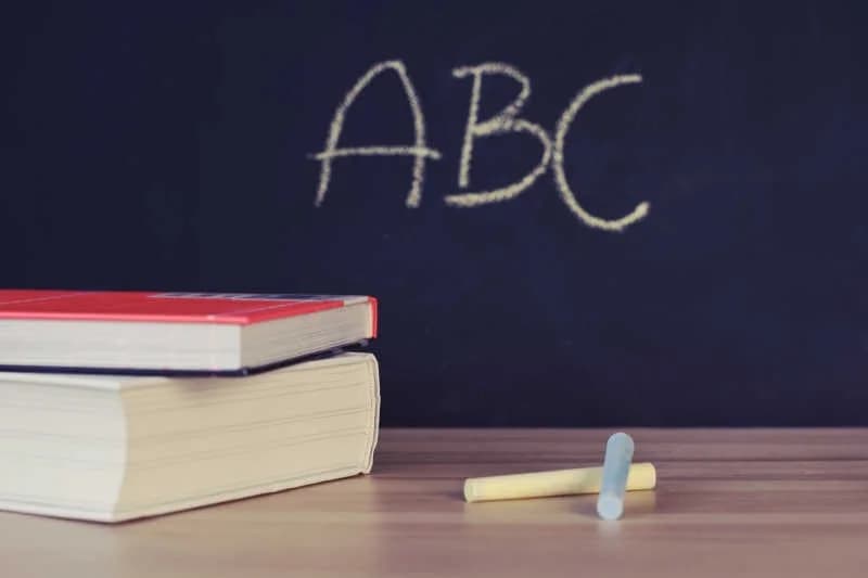 What is the Head Start Program?
