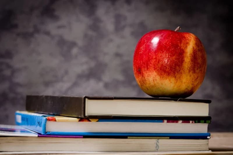 College Loans 101: How To Fund Your College Expenses
