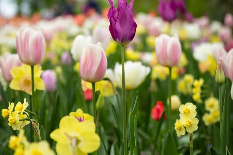 The Ultimate Spring Cleaning For Your Finances