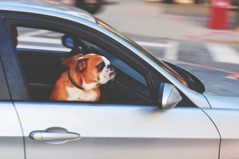 How Much Car Insurance Do You Really Need?