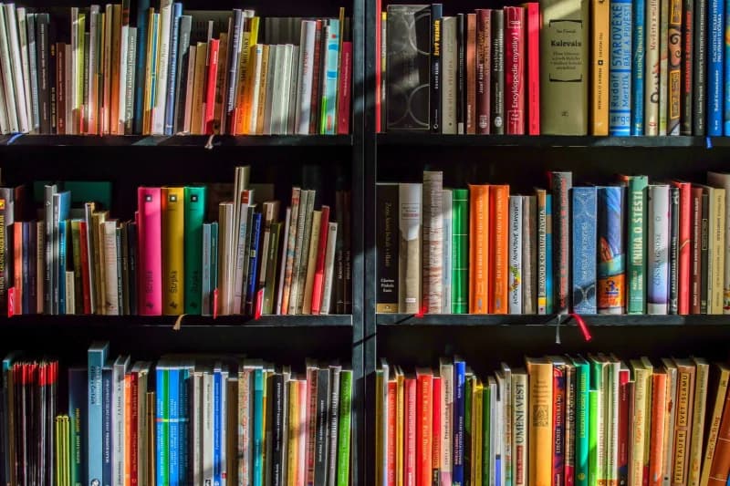 Cutting Costs: Finding College Books for Less