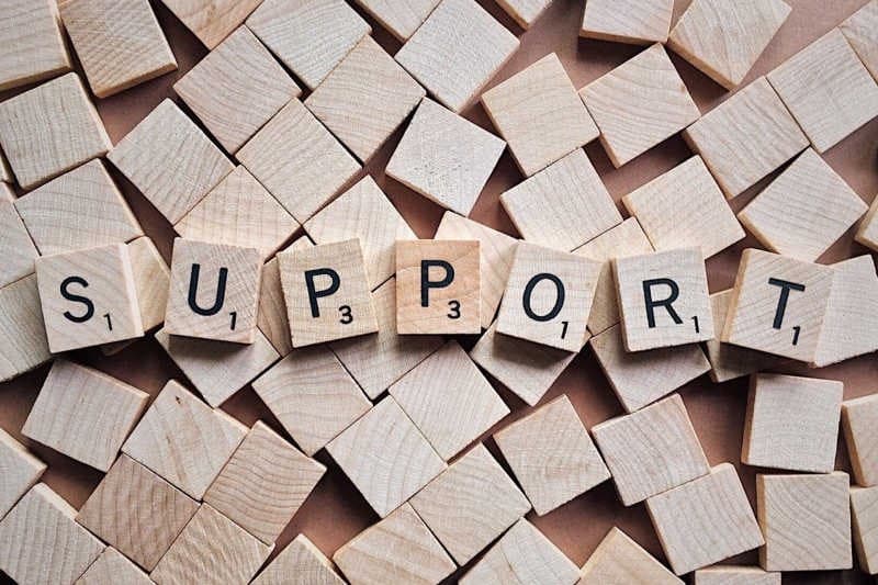 Government Support for Individuals with Disabilities