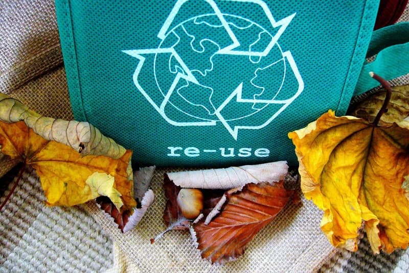 3 Ways to Go Green That Will Benefit Your Wallet and Mother Earth