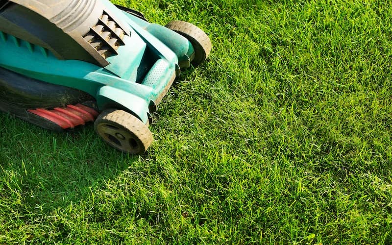 Simple Hacks To Maintaining A Perfect Lawn