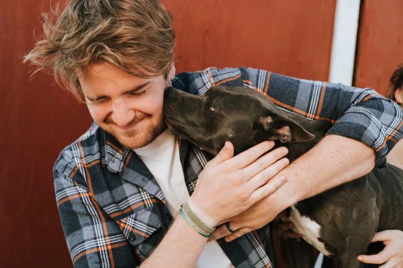 Pet Care Doesn't Have to Be Pricy: 6 Ways to Save